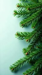 Deep green pine boughs, full needles, festive backdrop, texture, holiday background, green background