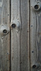 Gray weathered wood plank, rich grain, deep knots, antique wood, rough texture