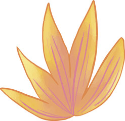 yellow lotus flower hand drawn 