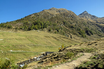 Landschaft im Passeiertal nahe dem Dorf Pfelders in den italienischen Alpen, Südtirol