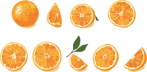 Oranges cut into pieces vector illustration set isolated tranperent background