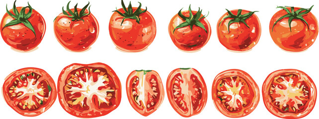 Tomato set whole and cut in pieces white background isolated vector handdrawn illustration