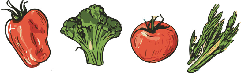 Vegetables vector illustration clipart set isolated on white transperent background