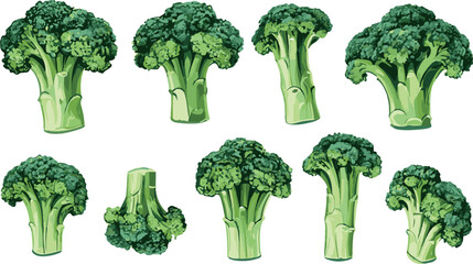 Broccoli handdrawn vector illustration set isolated white background
