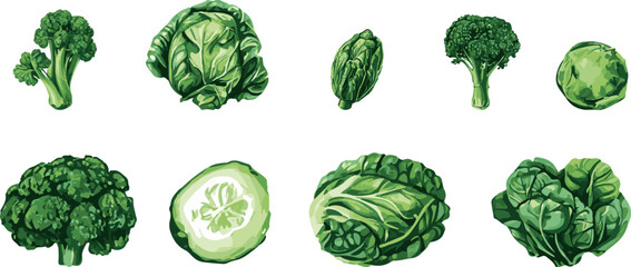 Greens, salad, vegetables, herbs, healthy food, healthy lifestyle handdrawn vector illustration set white background isolated