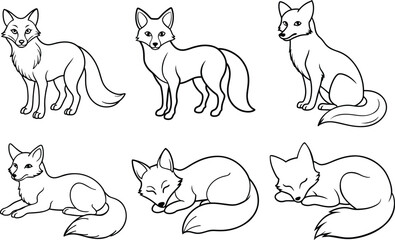 A beautiful fox line art collection. This vector artwork is perfect for children's coloring books, digital designs, t-shirts and branding etc. Ideal  for wildlife lovers and artistic projects.