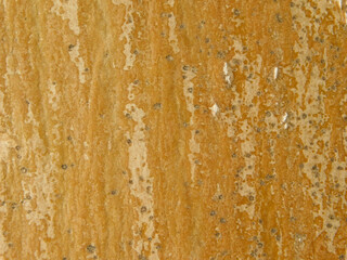 Fototapeta premium textures of a tree