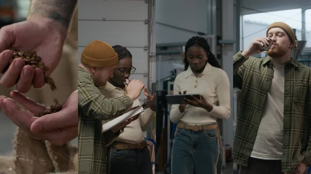 Split screen of two managers checking quality of goods, working with documents together and tasting their own product at coffee roasting plant