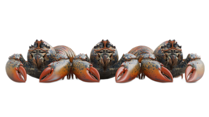 Three Claws Forward: Three imposing lobsters, viewed from the front, their powerful claws extended, create a striking and slightly intimidating horizontal composition.