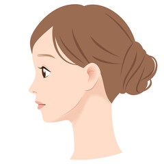 女性の横顔　フェイスライン