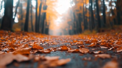 Serene autumn pathway lined with fallen orange leaves, surrounded by tall trees in a misty forest