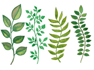 Green twigs watercolor. Twigs with leaves spring motifs.