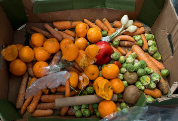 Dirty boxes with rotten vegetables and fruits. Garbage and food waste. Top view. The concept of waste minimization and consumerism