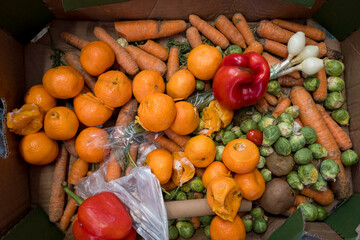 Dirty boxes with rotten vegetables and fruits. Garbage and food waste. Top view. The concept of...