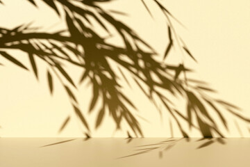 Abstract beige studio background for product presentation. An empty room with shadows from tree leaves. 3D room with space for copying. The concept of summer and spring. Contrast background.