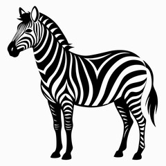 Zebra vector black art animal silhouette on a white background