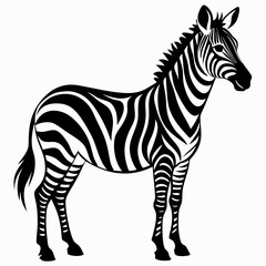 Zebra vector black art animal silhouette on a white background