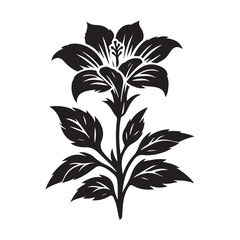 black and white flower