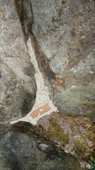 2006)european hornet nest in a gap in a stone wall(Photo taken at 22:52 on august 9, 2017)