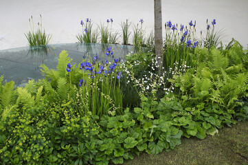 A Modern Show Garden terrace sheltered