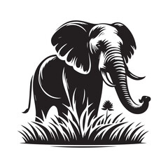 vector illustration of an elephant