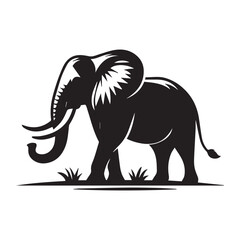 elephant cartoon isolated on white