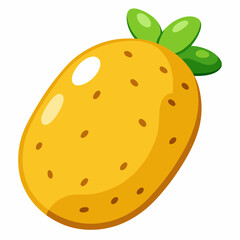 Potato white background 
