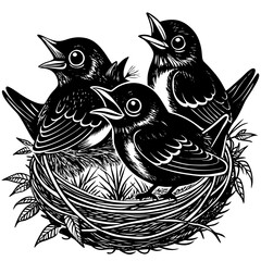 hungry baby Robins in a nest wanting the mother bird to come and feed