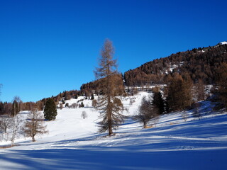 The mountains and trees are covered with snow.