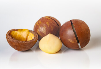 Macadamia nuts display showcasing their hard shells and creamy interior in a bright setting