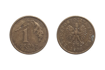 Coin 1 Grosz 2006. Coin of Poland. Coin 1 grosz 2006 Obverse and Reverse on white background