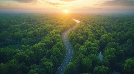 Aerial view of winding road through lush forest at sunset.