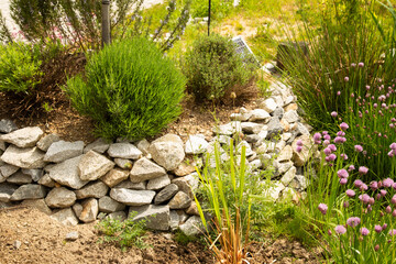 Permaculture garden -  herbal spiral with a number of domestic and exotic kitchen herbs