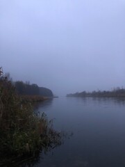 An atmospheric, dark, and slightly mystical autumn landscape featuring rich, muted hues of fall foliage and a delicate veil of fog.