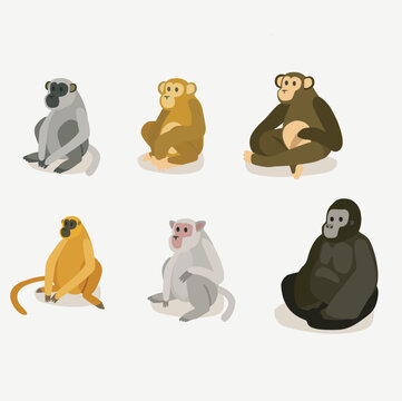 set of different types and spices of monkeys and apes macaca chimpanzee gorilla flat vector illustration wild animals jungle vector characters isolated on white bacground