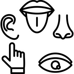 Sensory Organ Function Icon