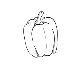 paprika digital illustration drawing isolated