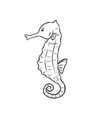 seahorse digital illustration drawing isolated