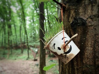 Grass planted in a decorative paper cup hanging from the trree