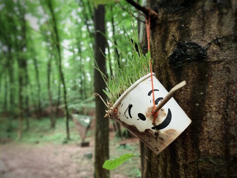 Grass planted in a decorative paper cup hanging from the trree