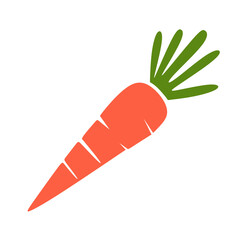 carrot vector illustration