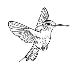 Obraz premium Hummingbird Coloring Page Simple Outline for Creative Fun