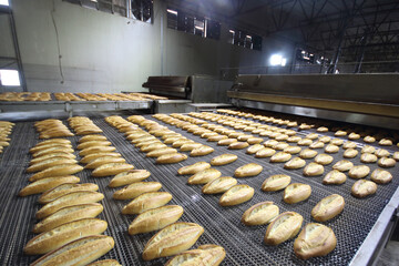 freshly baked loaves of bread coming out of an industrial oven