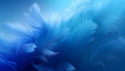 Beautiful abstract blue feathers on white background, white feather texture and blue background, feather wallpaper, blue texture banners, love theme, valentines day, gray gradient