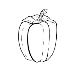 paprika digital illustration drawing isolated