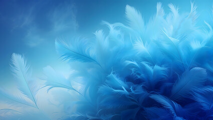 Beautiful abstract blue feathers on white background, white feather texture and blue background, feather wallpaper, blue texture banners, love theme, valentines day, gray gradient
