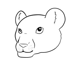 lion cub head digital illustration drawing isolated