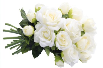 Obraz premium A beautiful arrangement of white roses against a clean white background, perfect for romantic occasions or as a symbol of love and appreciation