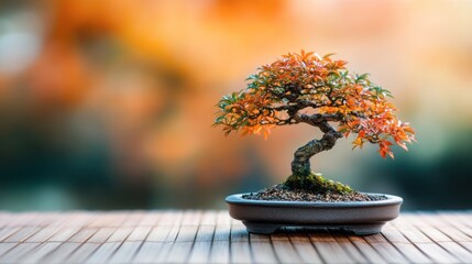 A beautiful little bonsai tree with autumn-colored leaves, placed on a traditional tatami mat.