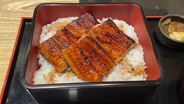 出来立てのうな重